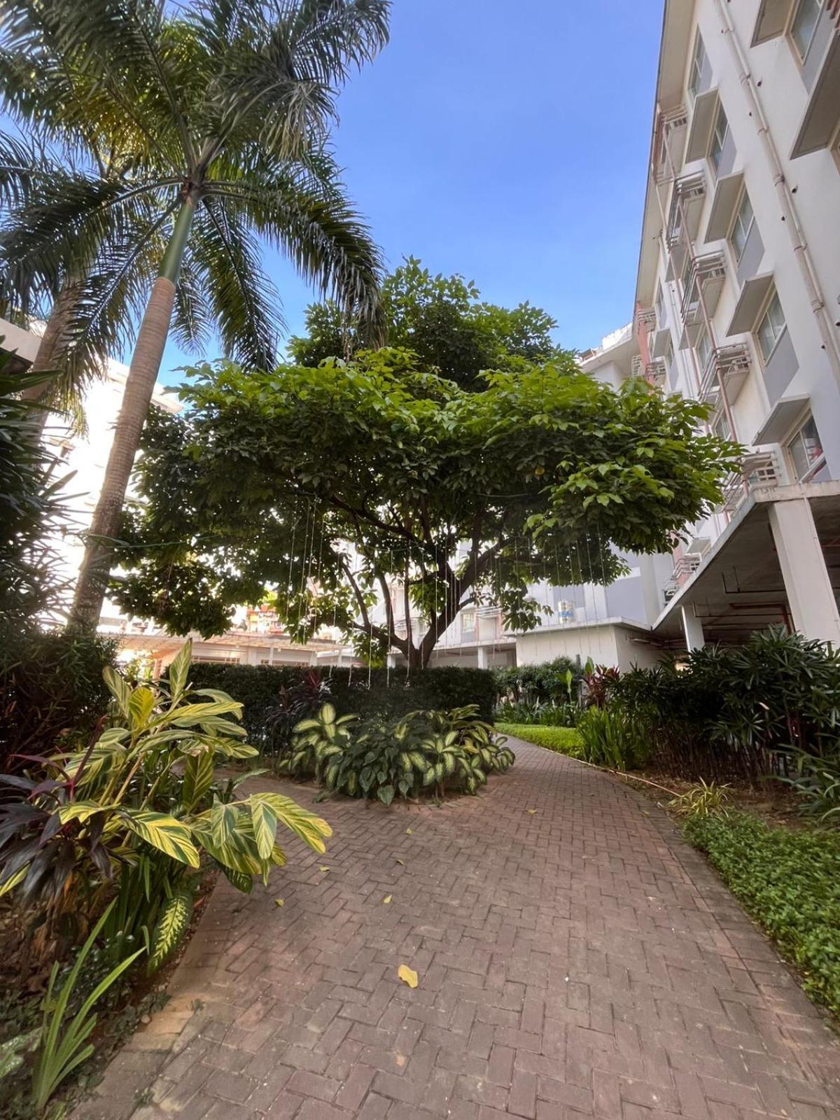 Summum Bonum Bliss - Lahug Aparthotel Cebu Exterior foto